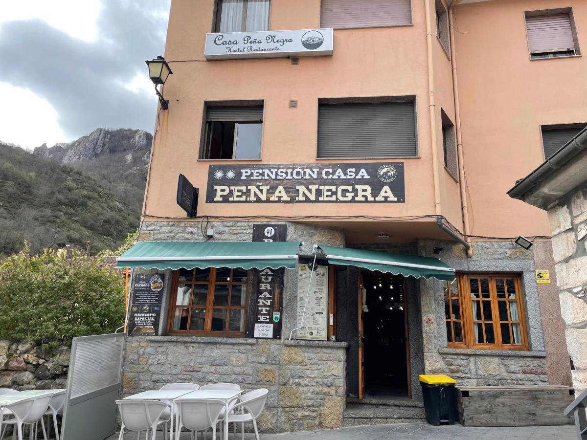 Casa Pena Negra Hotell Pola de Somiedo Exteriör bild